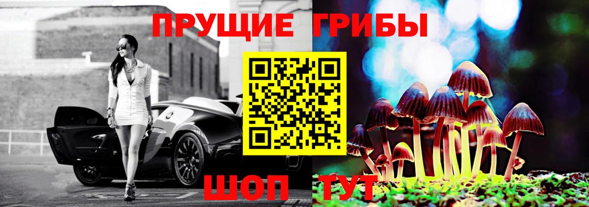 Ессентуки  Псилоцибиновые грибы прущие грибы  Галлюциногенные грибы мицелий  Вход с VPN 